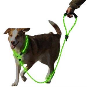 Hot Sale Personalized 0.8CM Embroidered LED Dog Leash Glow in the Dark with Durable Polyester Hook