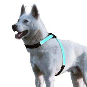 Customized Comfortable Breathable LED Light up Dog Vest Harness Nylon Reflective