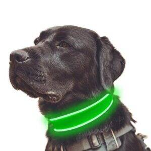 Bright LED Dog Collar with 7 Color Changing Lights Durable Reflective Dog Lead for Night Safety
