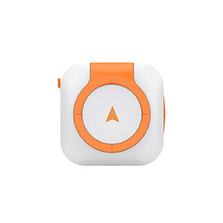 Hot Sell Mini Dog GPS Tracking Collar Pet Training Collar Airtag